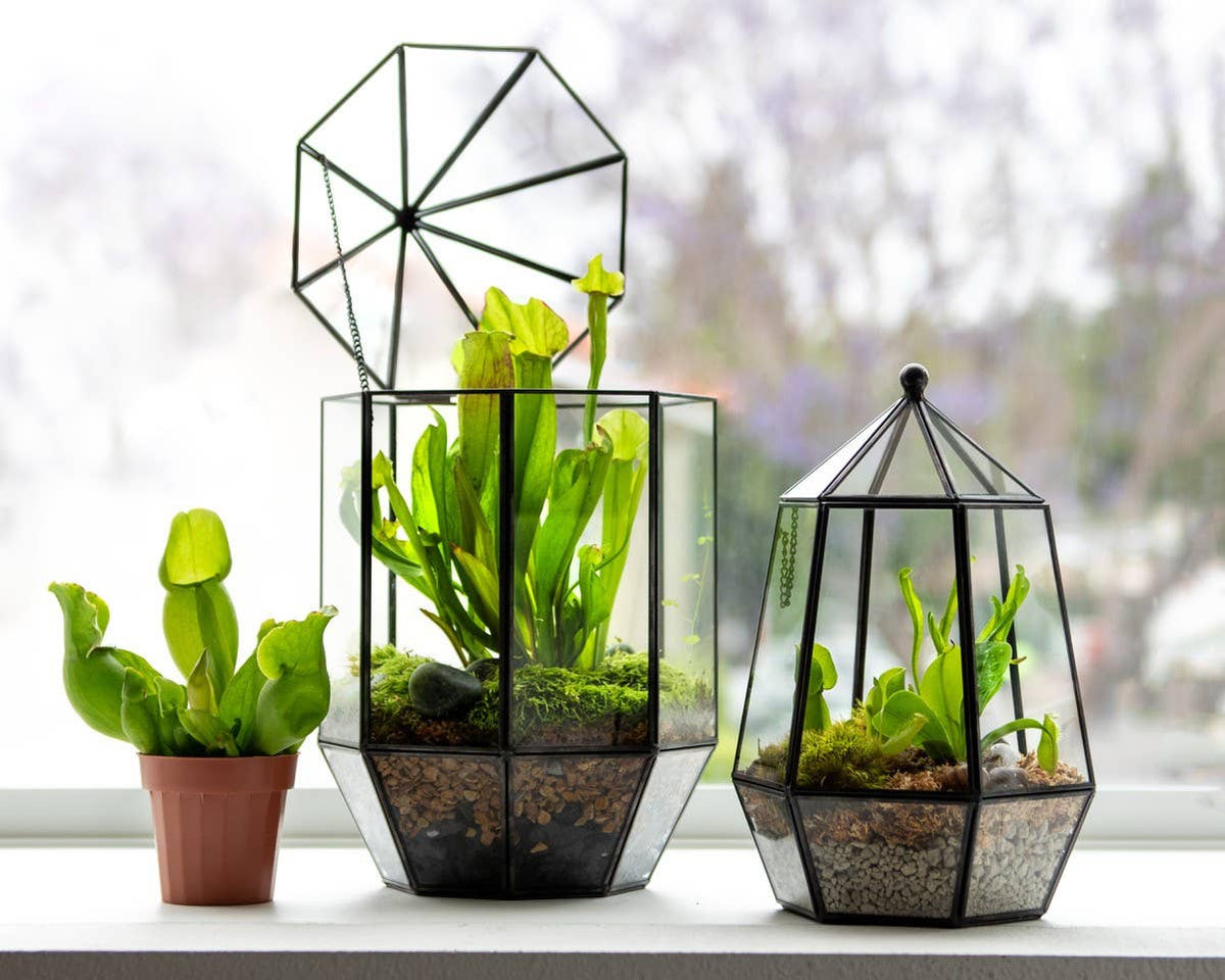 Glass Terrarium